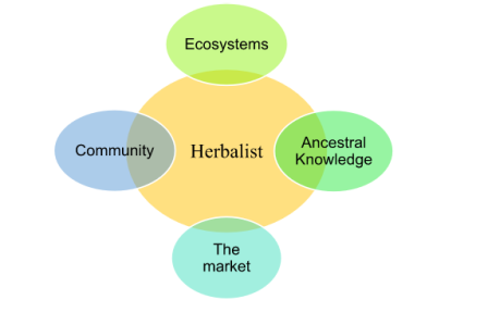 hierbateras english