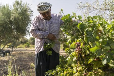 UNDP in Iraq