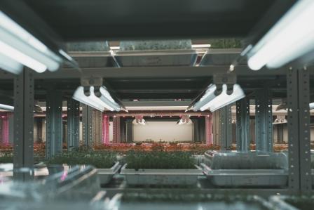Plant micropropagation laboratory