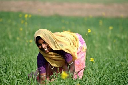 A woman in a field of flowers