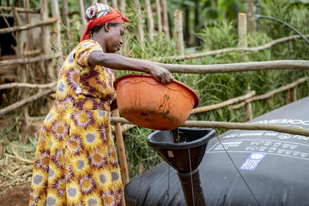 woman pouring organic waste