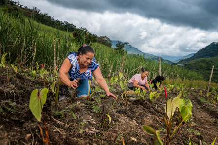 un niño pequeño que está parado en la hierba