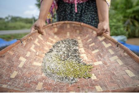 Close up, two hands hold seed tray