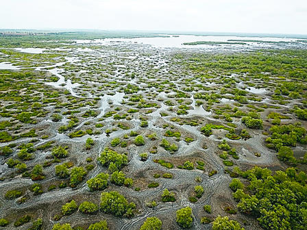 Bigi Pan Multi-Use Management Area (large wetland area) 