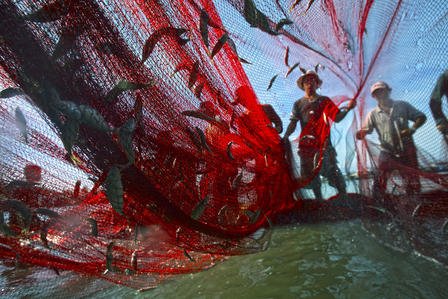 UNDP_ocean