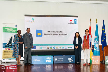 Launch of the RodMoFad mobile application