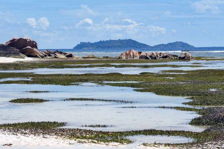 undp-seychelles-crrp-curieuse-island-and-surroundings-58.jpg