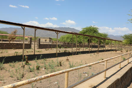 a train traveling down train tracks next to a wire fence