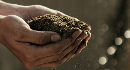 a close up of a hand
