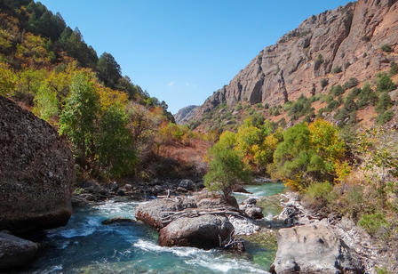 a rocky river with trees on the side of a mountain