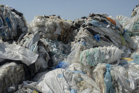 Plastic Pollution in Georgia