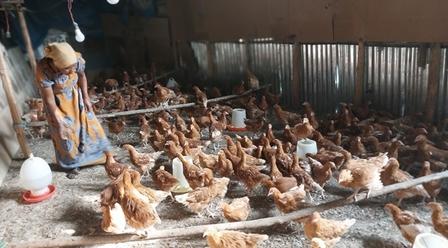 a group of stuffed animals