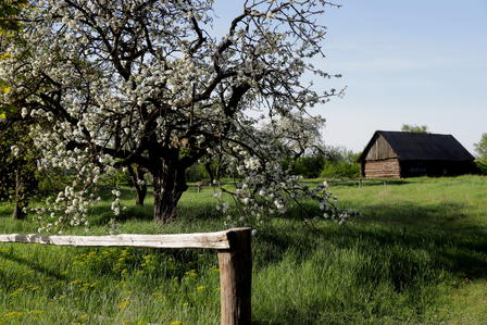 a wooden bench sitting on top of a lush green field