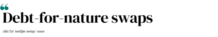 shape