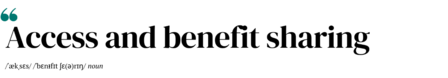 shape