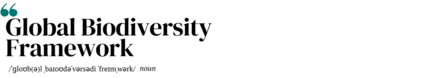 shape