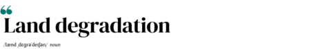 shape