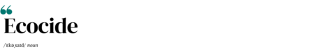 shape