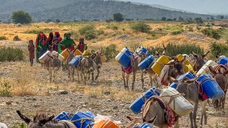 women and girls fetching water