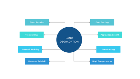 Figure 4: Reasons for degradation as identified commulitavly by focus group discussions acorss communities. 