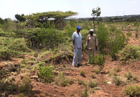 Figure 5: Land degradation up close. 