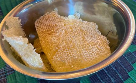 a piece of honeycomb on a plate