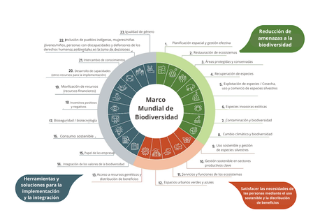 Gráfico del Marco Mundial para la Biodiversidad