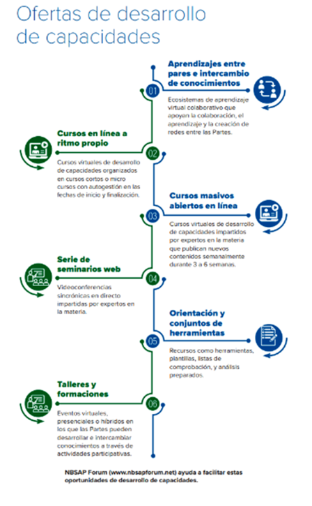 Flowchart listing various capacity development offerings with icons and brief descriptions.