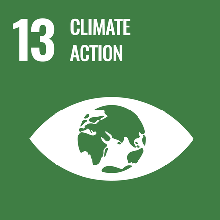 Green background with white eye symbol and globe; text reads "13 CLIMATE ACTION."