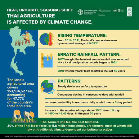 Infographic on climate change impacts on Thai agriculture, with data on temperature and rainfall patterns.