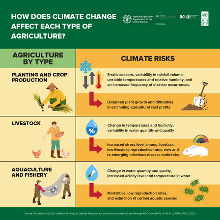 Infographic detailing the impact of climate change on agriculture, featuring text and icons.