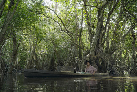 A person sits in a wooden boat among dense mangrove trees reflecting in calm water.