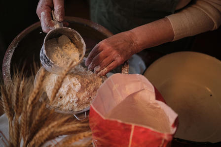 Hands pouring flour from a measuring cup into a bowl, surrounded by wheat stalks.