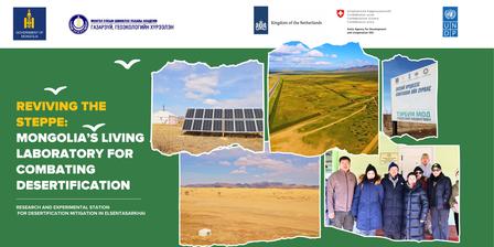Collage featuring a desert landscape, solar panels, and a team in traditional clothing.