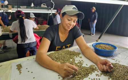 A woman sorting coffee beans at a table, smiling, with others working in the background.