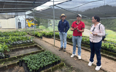 Three people discussing in a greenhouse filled with small plants under a netted structure.