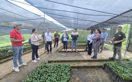 Group of people discussing plants in a greenhouse with shaded areas and rows of greenery.