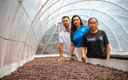 Three individuals stand in a greenhouse, leaning over a bed of soil.