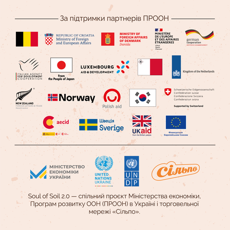 Logos of various partners supporting the PROON project, arranged in a grid format.