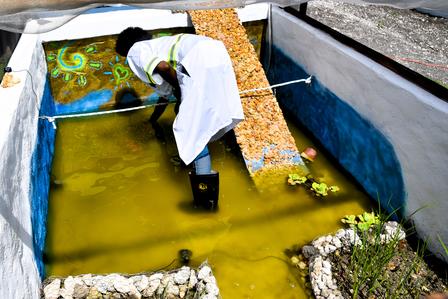 A person in a white shirt and boots bends over a murky pond, reaching into the water.