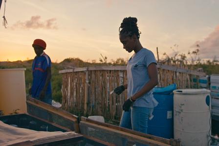 Two people working outdoors at sunset, surrounded by barrels and wooden structures.