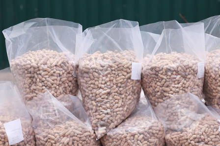 Bags filled with light-colored pellets stacked against a green background.