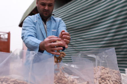 A man in a blue jacket fills plastic bags with peanuts in an outdoor setting.