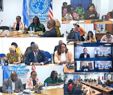 Collage of a United Nations meeting in Nigeria with attendees in person and on video call.