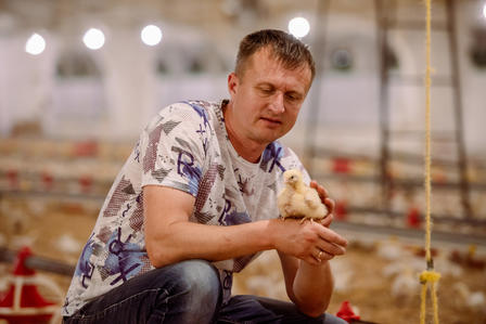 A chicken farm from the left bank of the Nistru River gets a modern makeover