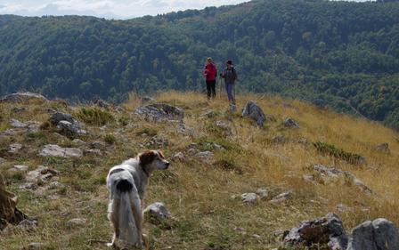 A dog stands on a grassy hill, watching two people in the distance among rocky terrain.