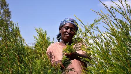 Tea farmer. Photo: UNDP Kenya