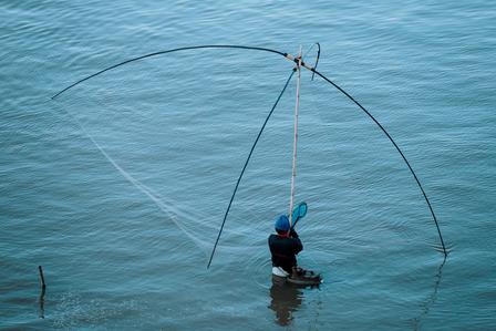 Fisherman standing in shallow water, casting a net using a large curved rod.