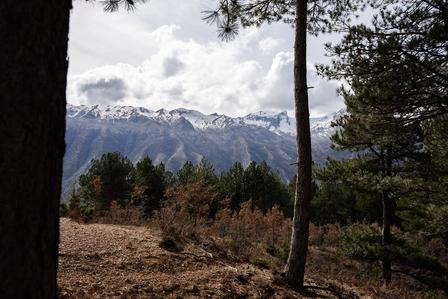Snow-capped mountains rise above a forest with trees and a cloudy sky.