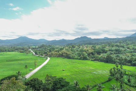 Lush green fields stretch towards distant mountains under a cloudy sky.